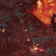 Illustration for article titled iThe A.V. Club /iat Blizzcon: Zerg, worgen, and Felicia Day’s drapes